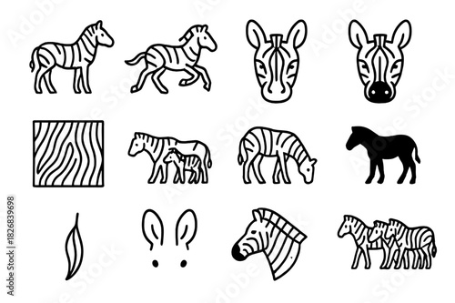 Zebra Icon Collection. Zebras. Line icon set of Zebras: standing zebra, running zebra, zebra head, zebra face close-up, zebra stripes pattern, zebra with foal,
