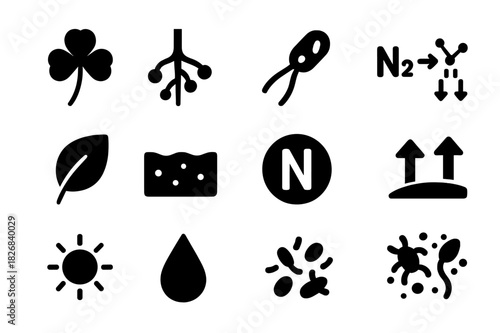 Nitrogen Fixation Icons. Nitrogen fixation. Solid icon set of Nitrogen fixation: clover plant, root nodules, bacteria icon, chemical reaction, leaf icon, soil