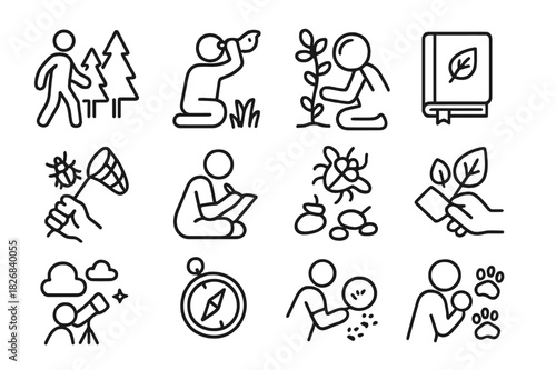 Outdoor Education Icons. Outdoor educational activities. Line icon set of outdoor educational activities: nature walk, bird watching, plant identification, bug