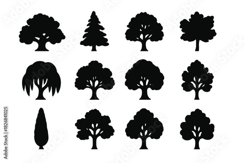 Tree Silhouette Icons. Tree silhouettes. Solid icon set of tree silhouettes: oak silhouette, pine silhouette, birch silhouette, maple silhouette, willow