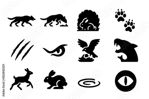 Predator and Prey Icons. Predator and Prey. Solid icon set of Predator and Prey: chase, pounce, hiding prey, footprint trail, claw mark, eye glare, nest