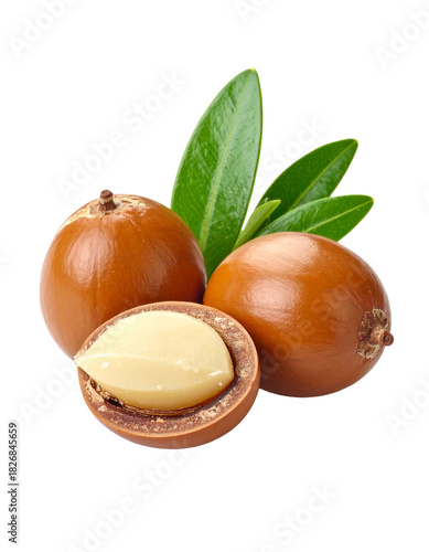 Argun Nuts and Oil with Green Leaves - Transparent Background - Cracked open nuts Falling - Food Image for Health and Beauty - Raw Food and Cosmetic Ingredient - Hair Shampoo and Vitamin Benefits