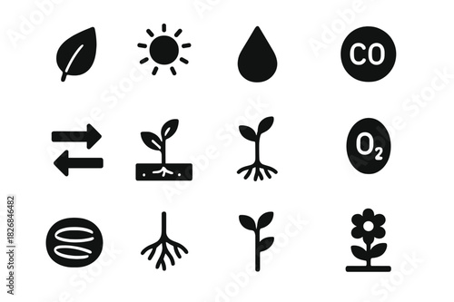 Photosynthesis Icon Set. Photosynthesis process. Solid icon set of Photosynthesis process: leaf, sun, water droplet, carbon dioxide, oxygen, chloroplast,