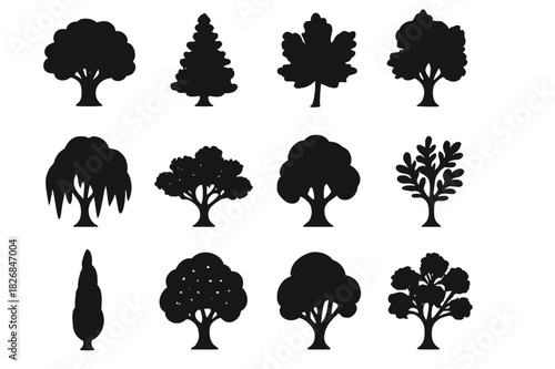 Tree Silhouette Icons. Tree silhouettes. Solid icon set of tree silhouettes: oak silhouette, pine silhouette, birch silhouette, maple silhouette, willow