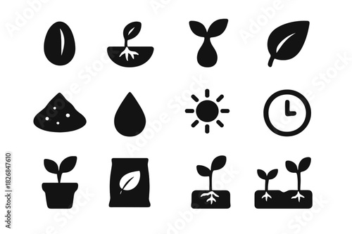 Seed Growth Icons. Seed Growth. Solid icon set of Seed Growth: seed, germination, root, sprout, leaf, soil, water droplet, sun, clock, pot, fertilizer, plant