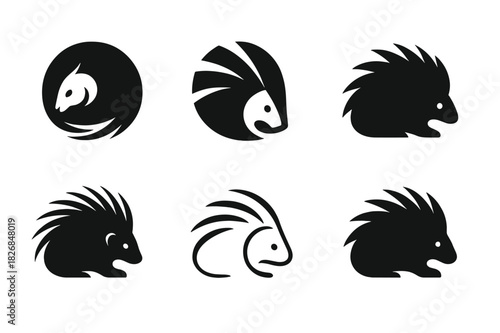Porcupine Logo Variations. Porcupine. Icon set. Set Logo of porcupine: Porcupine curled into ball. harmonious logo variations of the same emblematic concept,