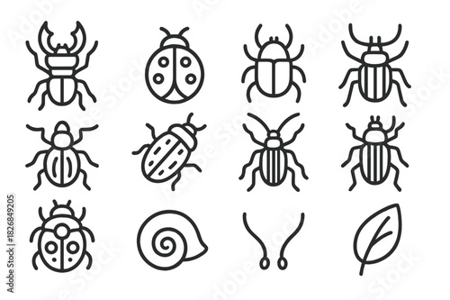 Beetle Line Icons. Beetles. Line icon set of beetles: stag beetle, ladybug, scarab, rhinoceros beetle, weevil, leaf beetle, ground beetle, longhorn beetle,