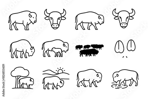 Buffalo Herd Icons. Buffalo Herd. Line icon set of Buffalo Herd: standing buffalo, buffalo head, walking buffalo, buffalo with horns, grazing buffalo, buffalo