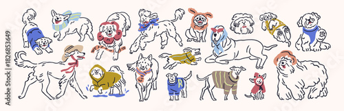 Cute dog breeds wearing canine animal clothes, doodle sketches set. Puppies, doggies dressed in sweaters, hoodies, sketchy outline drawings. Isolated hand-drawn contoured vector illustrations.