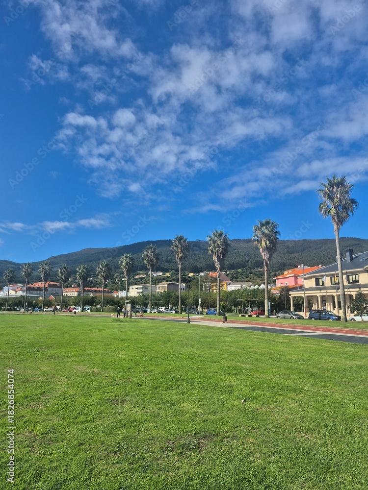 Obraz premium view of the city from the beach
