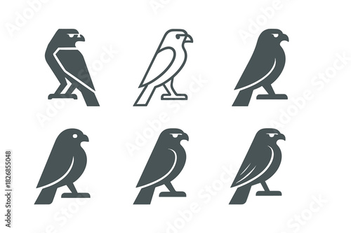 Falcon Logo Variations. Falcons. Icon set. Set Logo of Falcons: Falcon in Flight. harmonious logo variations of the same emblematic concept (Minimal outline,