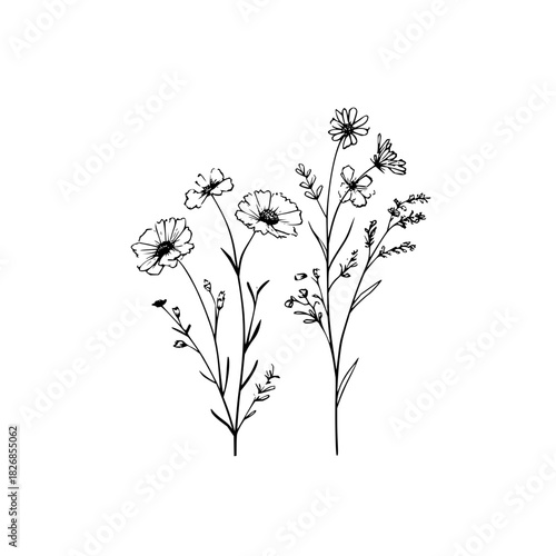 Minimalist black and white line drawing of wild meadow flowers