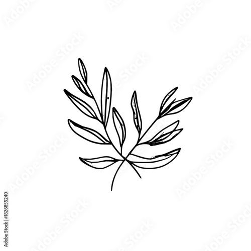 Minimalist black and white line art drawing of a small branch