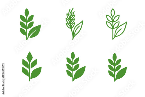 Plant-Based Logo Variations. Plant-Based Diet. Icon set. Set Logo of Plant-Based Diet: grain stalk and leaf design. harmonious logo variations of the same