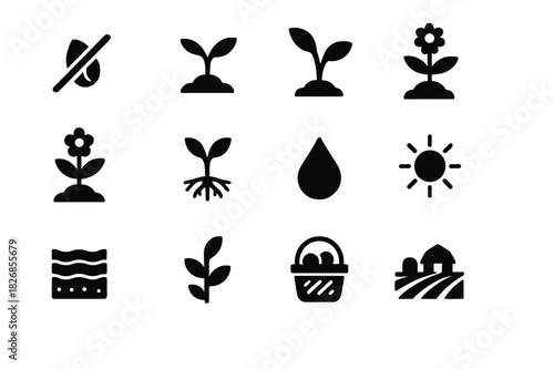 Plant Growth Icons. Plant growth stages. Solid icon set of Plant growth stages: seed, sprout, seedling, mature plant, flowering, root system, sun icon, water