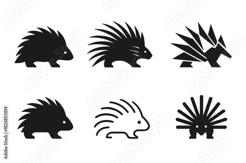 Porcupine Logo Variations. Porcupine. Icon set. Set Logo of porcupine: Porcupine spine pattern. harmonious logo variations of the same emblematic concept, each