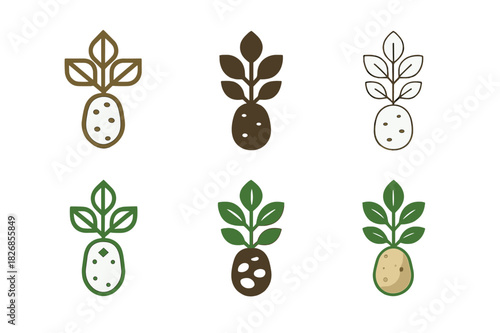 Potato Logo Variations. Potato. Icon set. Set Logo of Potato: Potato Plant. harmonious logo variations of the same emblematic concept, each with different