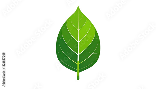 A vibrant, detailed illustration of a single green leaf. The leaf is centered on a black background and showcases its veins