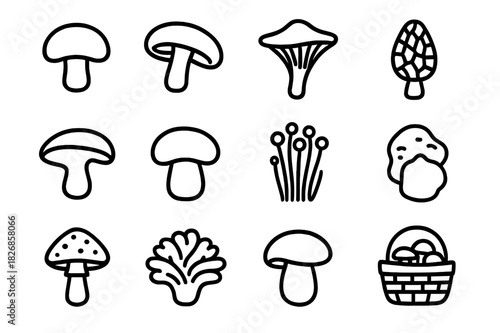 Mushroom Icon Grid. Mushrooms. Line icon set of Mushrooms: button mushroom, shiitake, chanterelle, morel, oyster mushroom, porcini, enoki, truffle, fly agaric,