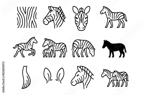 Zebra Icon Collection. Zebra Pattern Icons. Line icon set of Zebra Pattern Icons: zebra stripes pattern, zebra head, zebra face close-up, standing zebra,