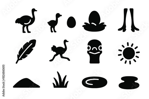 Ostrich Icon Set. Ostrich. Solid icon set of Ostrich: adult ostrich, baby ostrich, egg, nest, feather, running ostrich, ostrich head, ostrich legs, sand dune,