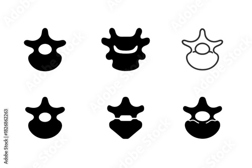 Bone Logo Variations. The role of bones. Icon set. Set Logo of The role of bones: vertebra. harmonious logo variations of the same emblematic concept, each