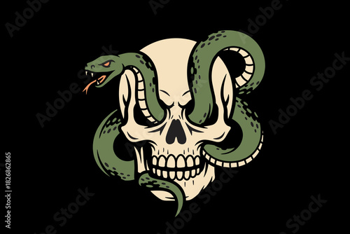 Skull and Snake Illustration.