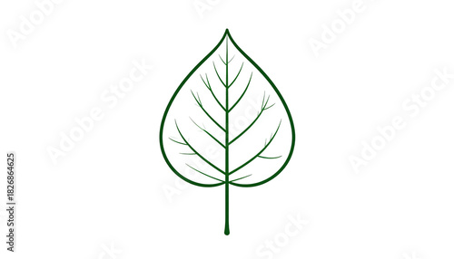 A simple, dark green leaf outline against a black background, with detailed veins showing. It's symmetrical and elegant