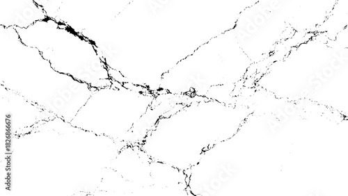 Abstract distressed texture with organic black cracks on white backdrop Vector, illustration