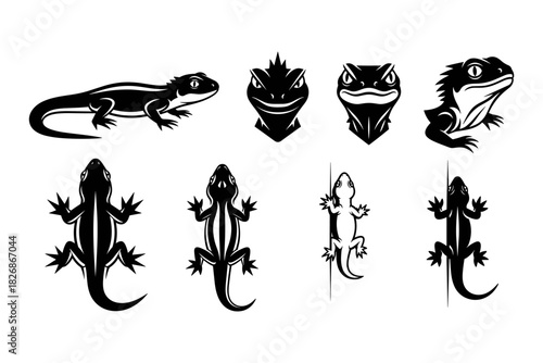 Collection of Black and White Lizard Silhouettes and Illustratio