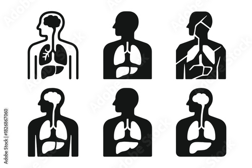 Human Anatomy Logos. Human anatomy. Icon set. Set Logo of human anatomy: internal organs cross-section. harmonious logo variations of the same emblematic