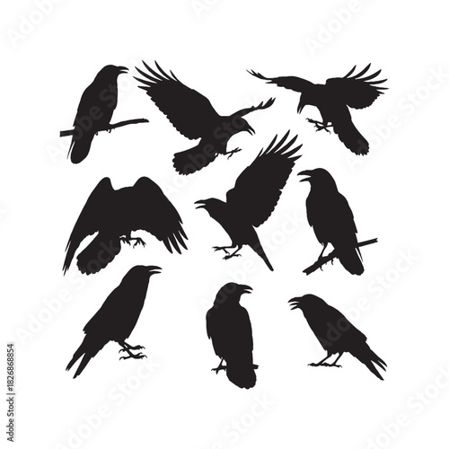 Raven Crow Black Bird Silhouette Set