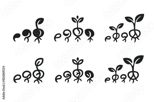 Seed Germination Icons. How seeds germinate. Icon set. Set Logo of How seeds germinate: germination timeline with stages. harmonious logo variations of the