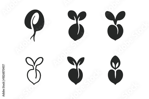 Seed Germination Icons. How seeds germinate. Icon set. Set Logo of How seeds germinate: cotyledons lifting seed husk. harmonious logo variations of the same