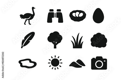 Bird Watching Icons. Bird watching. Solid icon set of Bird watching: ostrich, binoculars, nest, egg, feather, tree, grass, bush, waterhole, sun, sand dune,