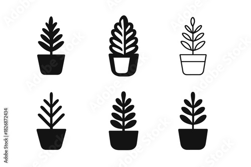 Potted Plant Logos. potted plants. Icon set. Set Logo of potted plants: leafy fern. harmonious logo variations of the same emblematic concept, each with