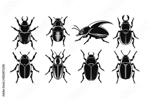 Collection of Diverse Beetle Silhouettes for Insect Enthusiasts.