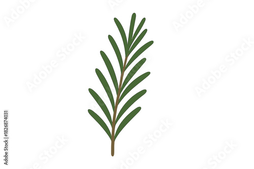 A single fresh rosemary sprig with green leaves and brown stem isolated on white