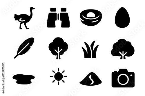 Bird Watching Icons. Bird watching. Solid icon set of Bird watching: ostrich, binoculars, nest, egg, feather, tree, grass, bush, waterhole, sun, sand dune,