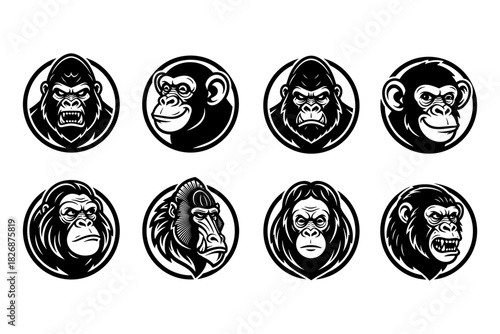 Collection of Eight Primate Head Illustrations in Black and Whit