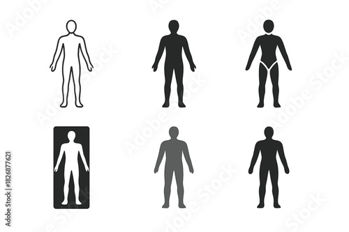 Human Anatomy Logos. Human anatomy. Icon set. Set Logo of human anatomy: full human body silhouette. harmonious logo variations of the same emblematic concept,
