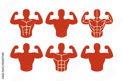 Human Anatomy Logos. Human anatomy. Icon set. Set Logo of human anatomy: muscular system illustration. harmonious logo variations of the same emblematic
