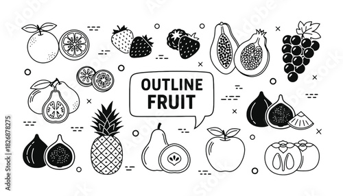 Black and white outline fruit drawing vector illustration