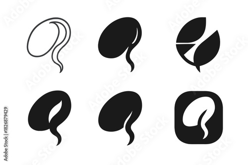 Seed Germination Icons. How seeds germinate. Icon set. Set Logo of How seeds germinate: sprouting seed with radicle. harmonious logo variations of the same