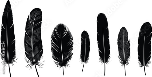 Set of Detailed Black Bird Feathers Vector Illustration, Hand-Drawn Engraving Style Silhouettes Showing Different Sizes and Shapes, Symbolizing Freedom, Flight, and Native American Culture