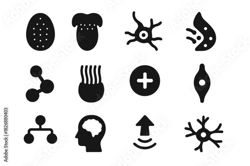 Taste Receptor Icons. Taste receptors. Solid icon set of Taste receptors: taste bud, tongue papillae, receptor icon, nerve signal, molecule binding,