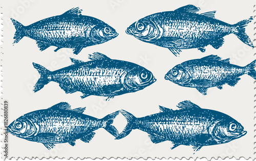 Conjunto de peces de estilo grabado antiguo, una ilustración vectorial detallada que captura la esencia de la vida marina.