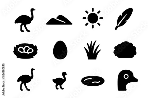 Desert Birds Icons. Desert birds. Solid icon set of Desert birds: ostrich, sand dune, sun, feather, nest, egg, grass, waterhole, bush, adult ostrich, baby