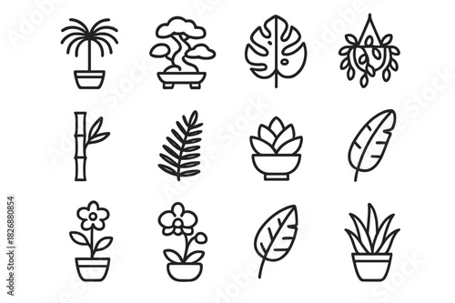 Exotic Plant Icons. Exotic plant accents. Line icon set of exotic plant accents: potted palm, bonsai tree, tropical leaf, hanging plant, bamboo stalk, fern,