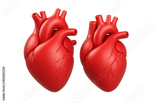 Human hearts for medical study and health care with transparent background, illustrating cardiology and life concepts
